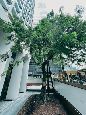 灣仔拍拖好去處_打卡Café